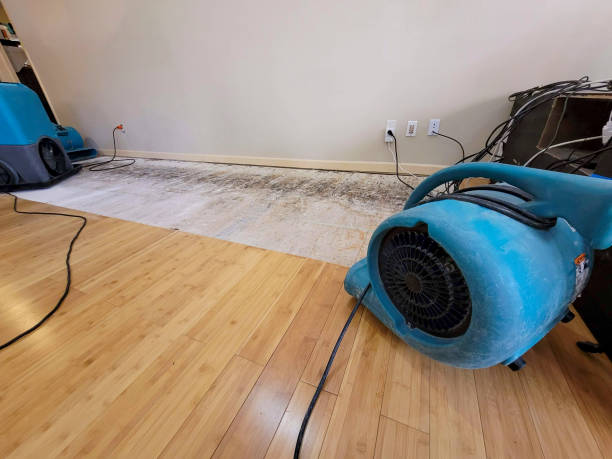 Professional Structural Drying technician working in Asher, OK